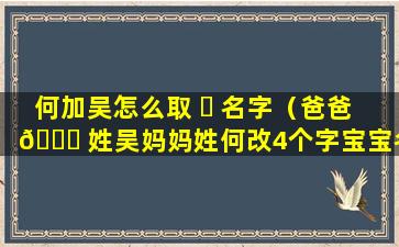 何加吴怎么取 ☘ 名字（爸爸 🐋 姓吴妈妈姓何改4个字宝宝名字）